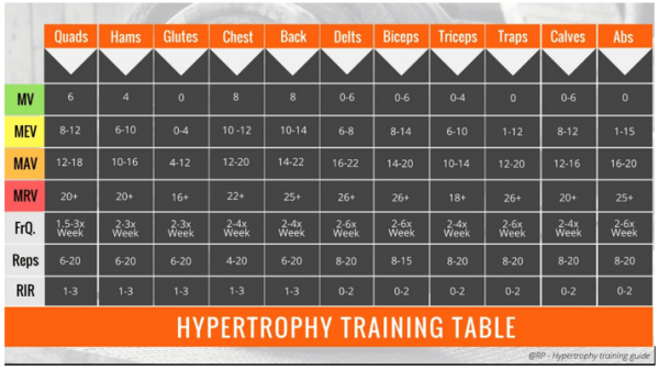 VOLUMEN DE ENTRENAMIENTO PARA HIPERTROFIA Trainologym