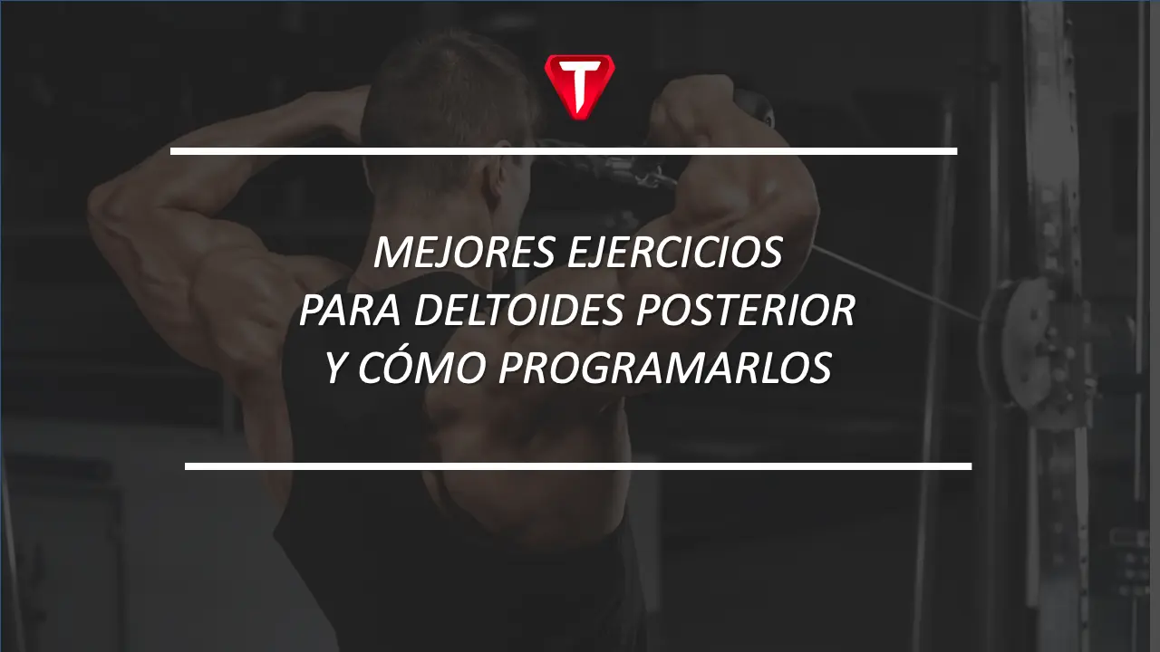 Mejores ejercicios para deltoides posterior y cómo programarlos