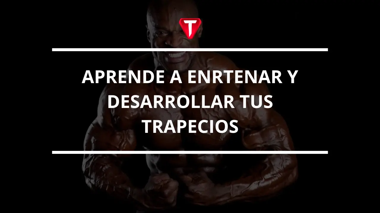 TRAPECIOS GRANDES COMO PERCHAS