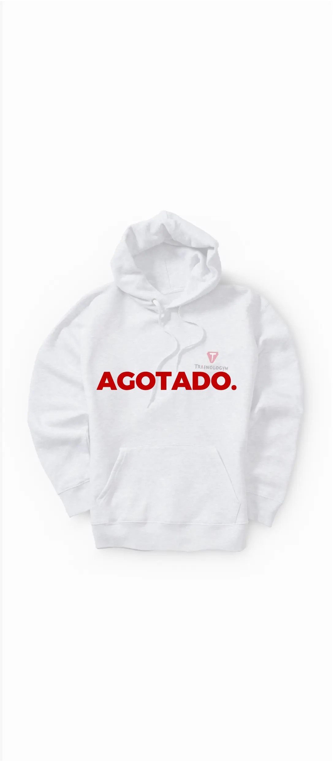 Sudadera gris con capucha