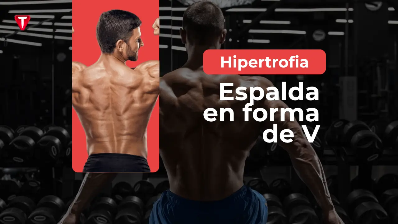 ¿Cómo conseguir una espalda en forma de «V»?