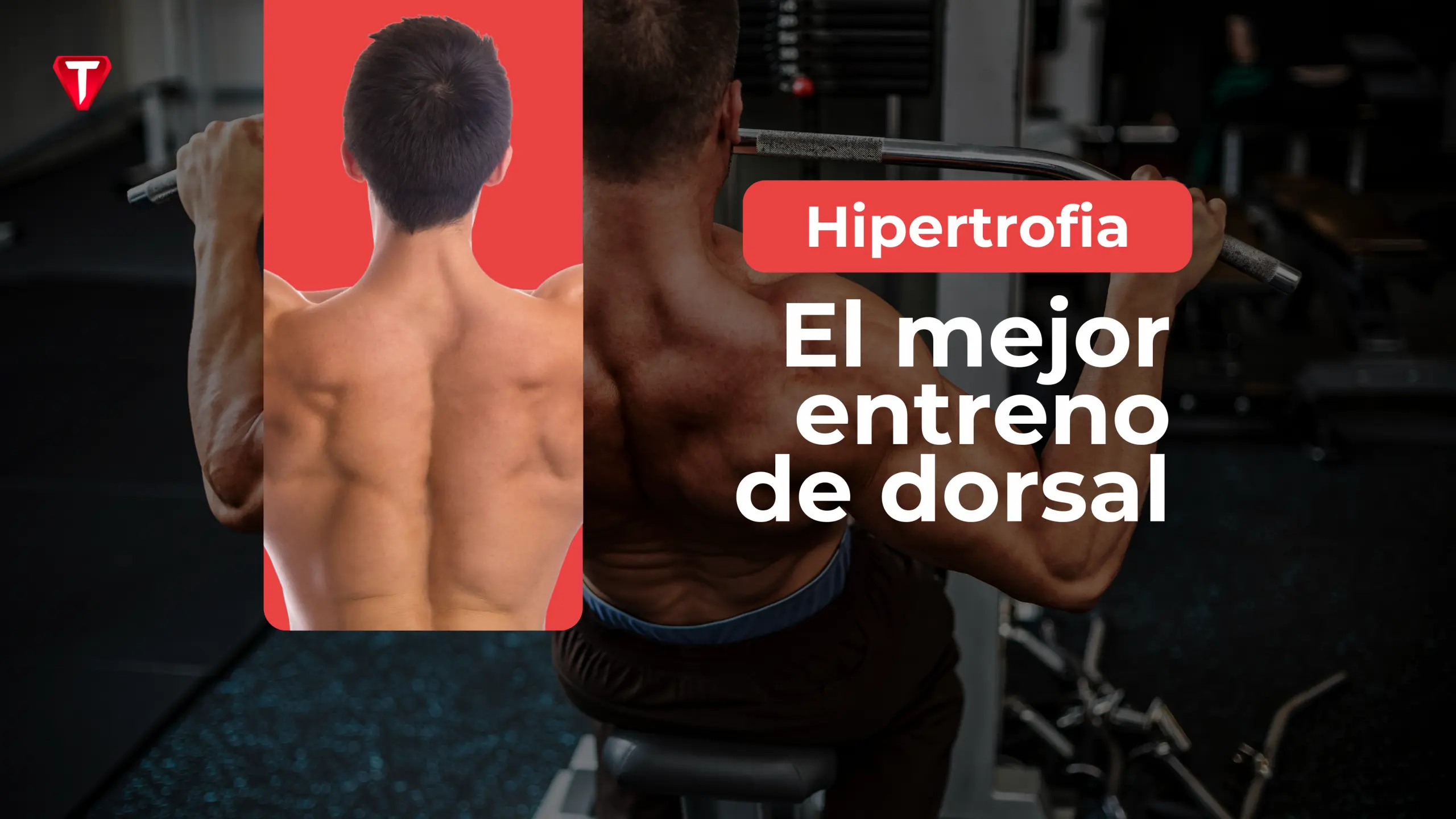 El mejor entrenamiento de dorsal