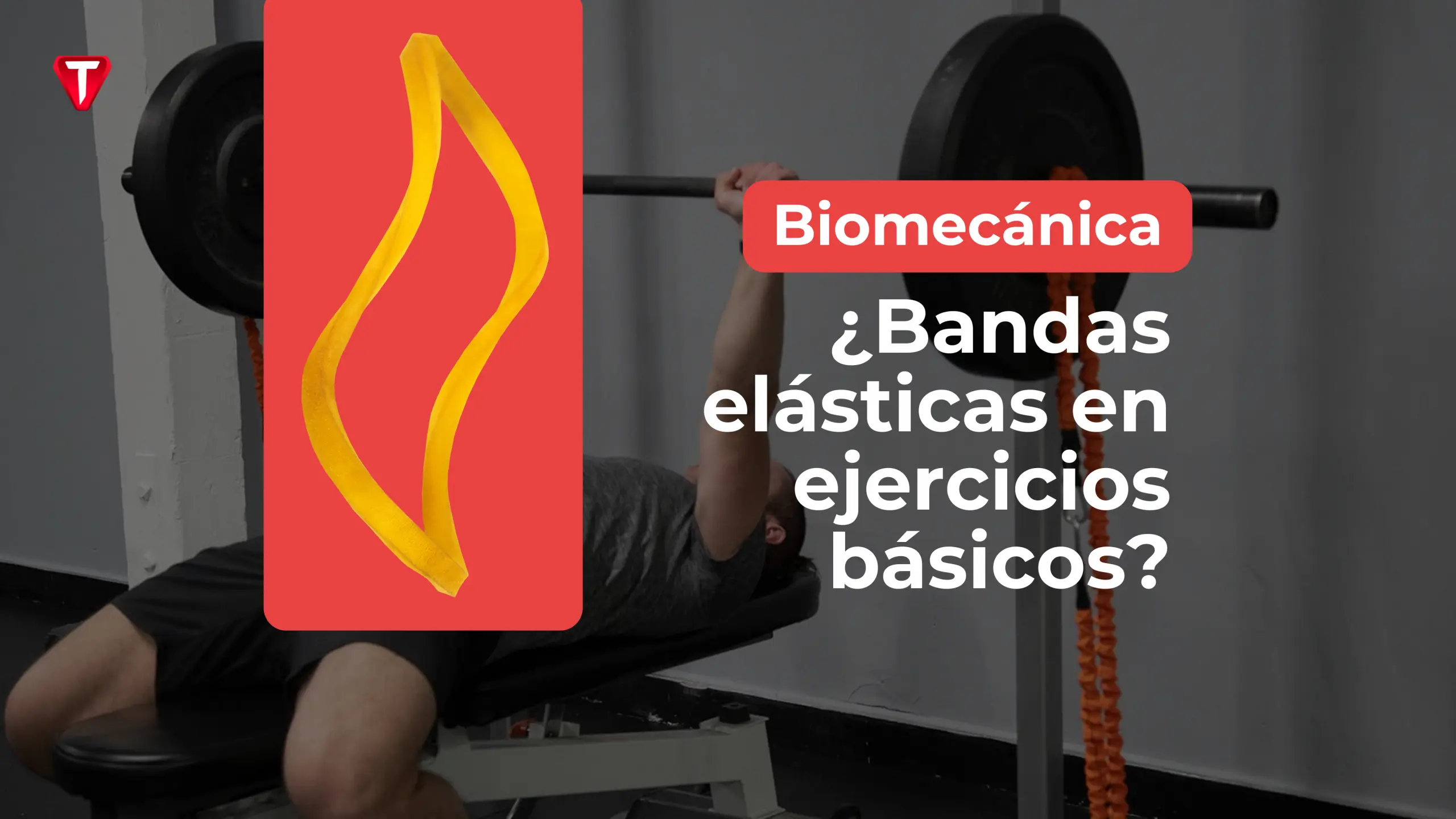 ¿Debo añadir bandas elásticas a mis ejercicios básicos?